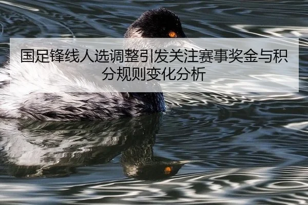 国足锋线人选调整引发关注赛事奖金与积分规则变化分析